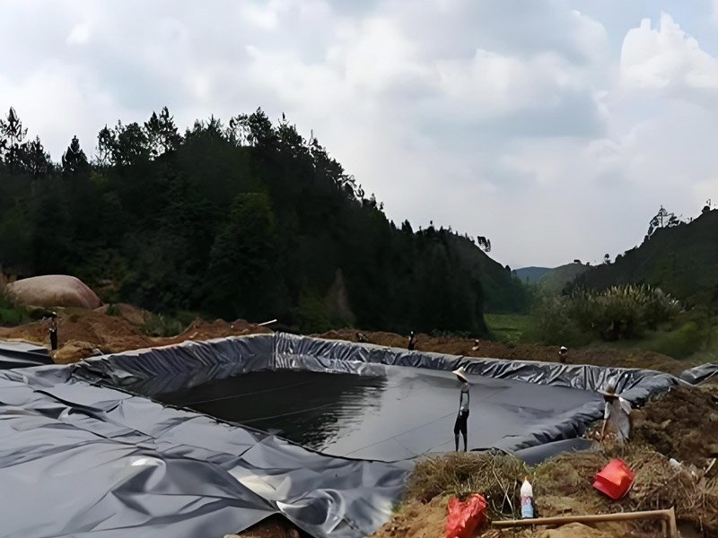 Best Geomembrane Pond Liners for Fish Farm
