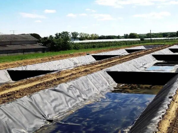 LLDPE Geomembrane For Shrimp Farm Project