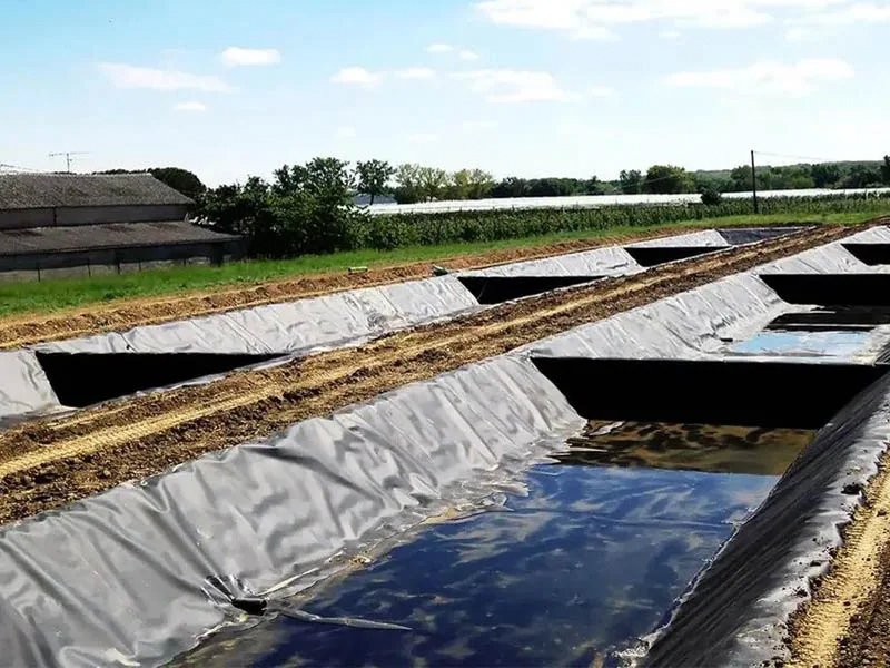 LLDPE Geomembrane For Shrimp Farm Project