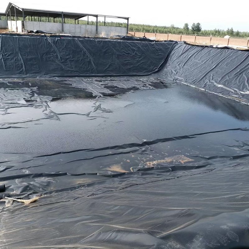 HDPE Geomembrane