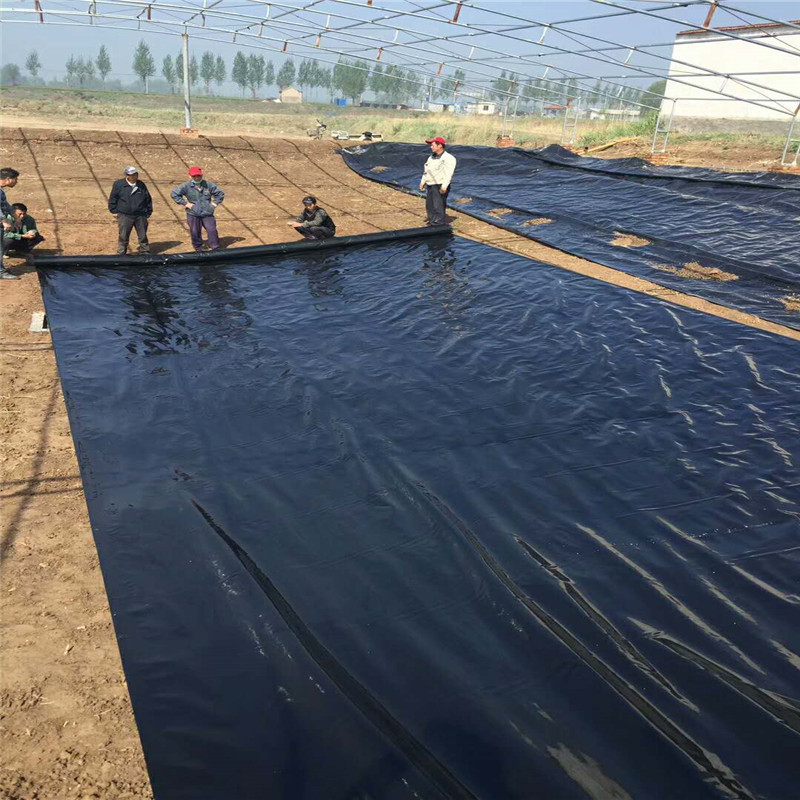 What Are Disadvantages Of HDPE Geomembrane For Fish Farm