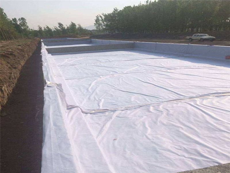 Composite Geomembrane