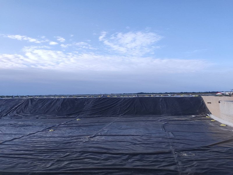 Polyethylene Geomembrane