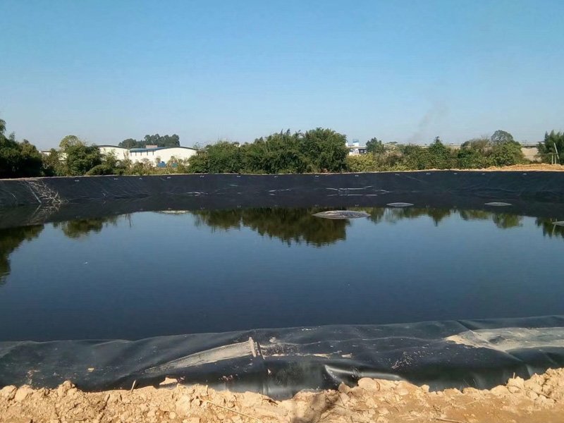 Best HDPE Geomembrane Liners For Fish Farm