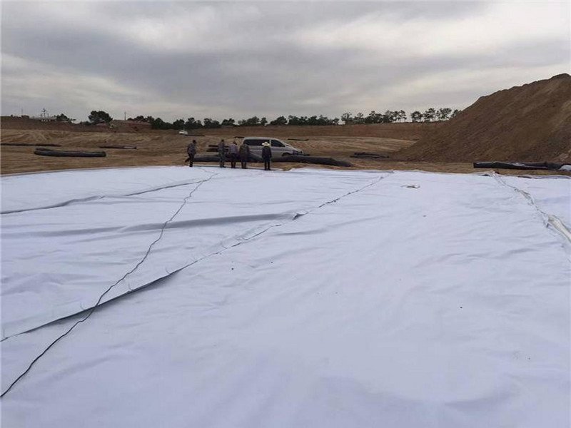 Geo Fabric for Driveway